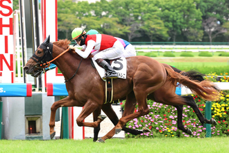 【阪神２Ｒ】母はショウナンパンドラ　「着差以上に強い」松山弘平騎手が絶賛のショウナンバトレニ単勝１・３倍に応える　