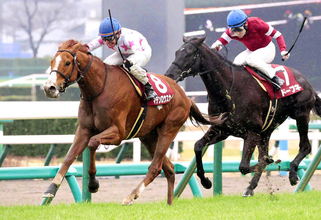 中山記念覇者のマテンロウスカイが競走馬登録を抹消　中山競馬場で乗馬になる予定