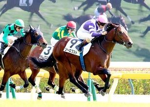 【東京５Ｒ・２歳新馬】ルメール騎手が「伸びしろある」と期待　ファインルージュの初子ソーロブストが快勝デビュー　