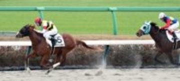 【中山６Ｒ・２歳新馬】横山和生騎手が２Ｒから騎乗機会４連勝！　トワイライトサイトで１番人気に応える