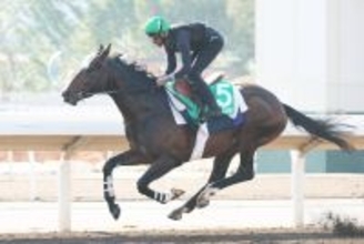 【香港ヴァーズ・ライバル診断】ソジーは陣営待望の良馬場　連覇狙うジアヴェロットは思い切った先行策も