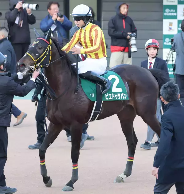 【フェアリーＳ】１番人気のピエドゥラパンは１０着大敗　荻野極騎手「テンションが爆発していた」