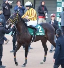 【フェアリーＳ】１番人気のピエドゥラパンは１０着大敗　荻野極騎手「テンションが爆発していた」