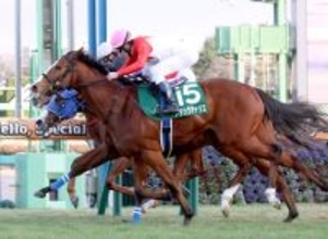 【フェアリーＳ】津村明秀騎手が年明けから２週連続重賞Ｖ　ブラックチャリスに初タイトルもたらした