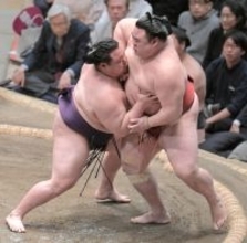 美ノ海が５勝目　愛子さまの愛猫と「同じ名前だと思ってくださったかもしれない」