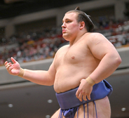 新大関・安青錦が勝ち越し　隆の勝に勝ち、２敗を守り、首位に並ぶ