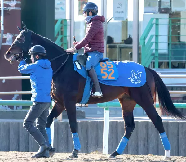 【早春Ｓ】来月に定年引退の国枝調教師「元気いっぱいだよ」ゆかりの良血馬アマキヒの仕上がりに太鼓判