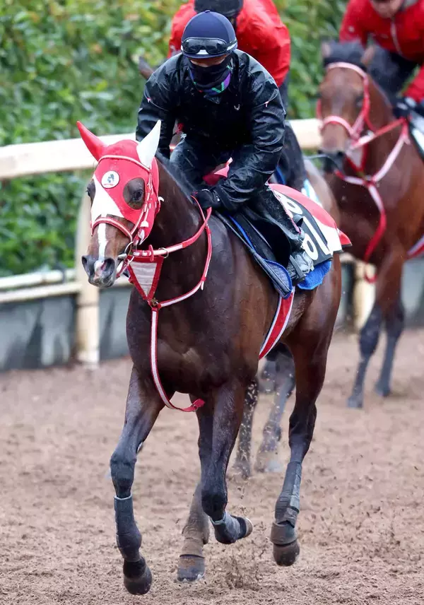 【報知杯弥生賞】ＧＬＡＹのＴＥＲＵが名付け親のテルヒコウは回避　坂井瑠星騎手とのコンビでスプリングＳへ