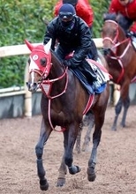 【報知杯弥生賞】ＧＬＡＹのＴＥＲＵが名付け親のテルヒコウは回避　坂井瑠星騎手とのコンビでスプリングＳへ