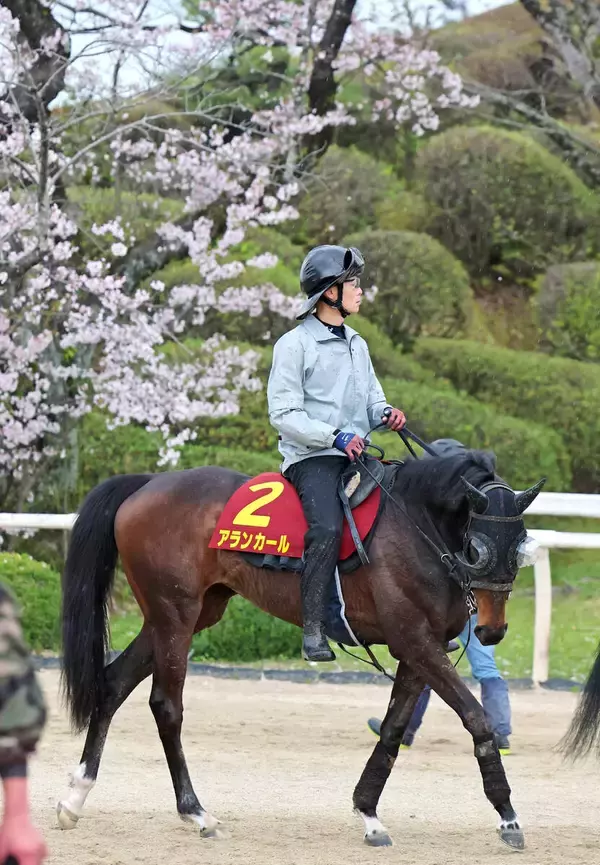 【桜花賞】大阪杯ワンツーコンビ　武豊騎手＆斉藤崇調教師のアランカール　「トライアルをトライアルとして、うまく利用できた」
