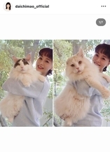 大地真央、“大きくてもふもふ”な愛猫たちの姿にファン「お美しい」「飼い主さんに似て麗しい」「とっても可愛い」