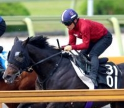 【京都新聞杯・水納の特注馬】５・９億円馬エムズビギンが楽しみ　陣営も「かなりビシビシやっています。ようやく...」と手応え