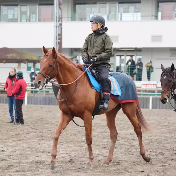 【注目馬動向】ネオムターフＣ７着のアロヒアリイは巴賞が本線　昨夏に仏Ｇ２勝利も３勝クラスからの格上挑戦