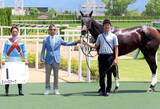 「【京都４Ｒ】世界の「クールモア」所有のスノースケープが圧勝　中内田調教師「もっと日本の競馬に興味を...」」の画像1