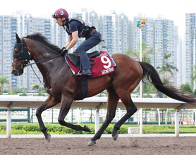 【ＱＥ２世ジュビリーＳ】昨年２着のサトノレーヴが絶好の動き　堀調教師「昨年より活気があり、毛づやや張りも良好」