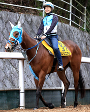 【青函Ｓ・金曜気配】２４年ファンタジーＳ勝ち馬ダンツエラン　滞在競馬で一変あるか！？陣営「今年のなかでは一番いい」