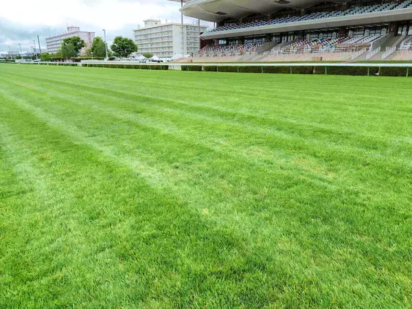 「洋芝」を知れば馬券予想に効果的！？　議論を呼ぶ謎の高速決着など函館競馬場の馬場担当課長に聞いてみた