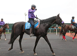 【札幌記念】マジックサンズは２年ぶりの勝利へ上昇気配　陣営「ピリッとした雰囲気で明らかにいいですね」