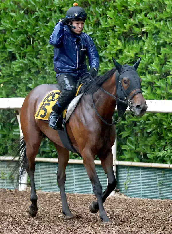 【クラスターＣ】「勝てる馬ばかりで...」３年１１か月ぶりの５２キロ川田将雅騎手　アンズアメを重賞初挑戦Ｖ導く