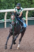 【チャレンジＣ】タガノデュードは春の古馬Ｇ１・３レース皆勤の経験値あり　宮調教師「力をつけたね。Ｇ３なら楽しみ」