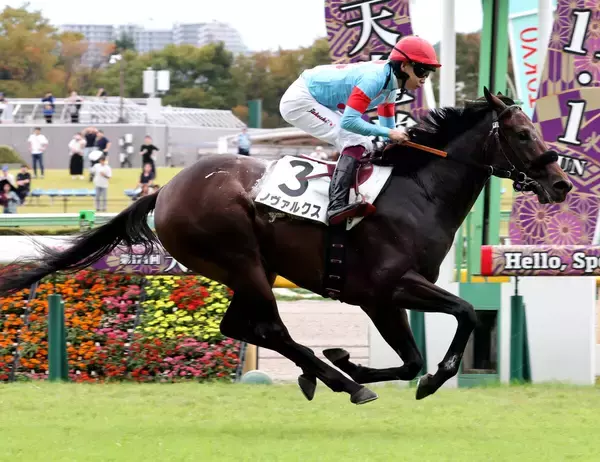 【東京５Ｒ】「想像以上」エフフォーリア産駒ノヴァルクスが別次元の末脚で初陣Ｖ　父の主戦・横山武史騎手も驚く