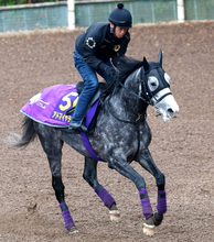 【ジャパンＣ】友道厩舎は東京芝２４００メートルが「庭」　アドマイヤテラ＆ヨーホーレイクの２頭出しで連覇狙う