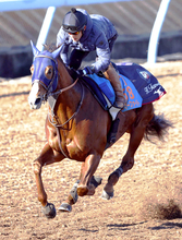 【東京大賞典】Ｇ１級連勝中のミッキーファイトは「実績的に上位」と田中博調教師…出走馬の陣営コメント