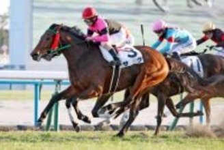 「初めて見たかも」「一部返金じゃなくて…」馬券発売締め切り後にまさかの３頭が競走除外にネット憤慨