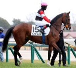 「皐月間に合わない...」「末脚エグ」３・２億円馬の黒星デビューに悲喜こもごも　東京５Ｒヘイジュード