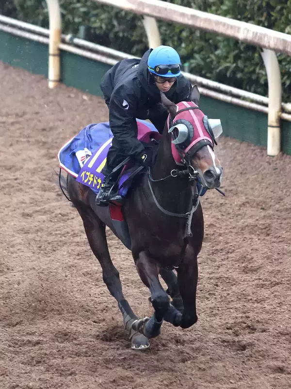 【フェブラリーＳ】「久しぶりに戦闘モード」同世代レモンポップとしのぎ削った２４年Ｖペプチドナイル　陣営は活気十分と証言