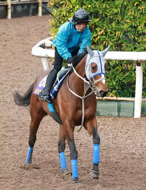 【大阪杯】５戦連続で武豊騎手とコンビのメイショウタバルは元気よく前日調整　石橋調教師「いつも通りの雰囲気」