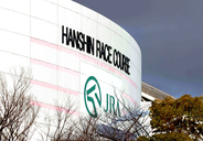 【阪神競馬・１１日の馬場】阪神牝馬Ｓが行われる芝は今週からＢコースも雨の影響で力を要する状態　砂はスピードある先行馬有利