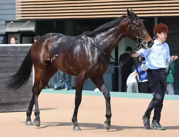 【福島９Ｒ・ひめさゆり賞】舟山瑠泉騎手が強気なリード！キンググローリーを３馬身差Ｖに導き「うまく競馬ができた」