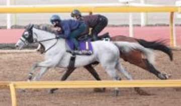 【天皇賞・春】アクアヴァーナルに松山弘平騎手「長距離のレースは向いている」２週連続の騎乗で好感触つかむ