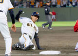 「「プロ野球選手に近づいてきている」　デビュー１か月の巨人・平山功太が実感する成長」の画像1