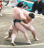 「幕下の不動豊が無傷の４連勝で勝ち越し　春場所で付け出しデビューも４勝３敗　今場所は「地に足がついている」」の画像1