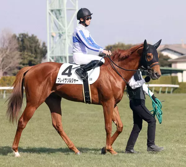 「早く完治しますように」「またレースで姿を見られることを…」骨片除去手術を受けた「ロイヤルファミリー」にエール
