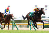「【注目馬動向】オークス２着のドリームコアが美浦・田中博厩舎へ転厩　社台グループオーナーズが発表」の画像1