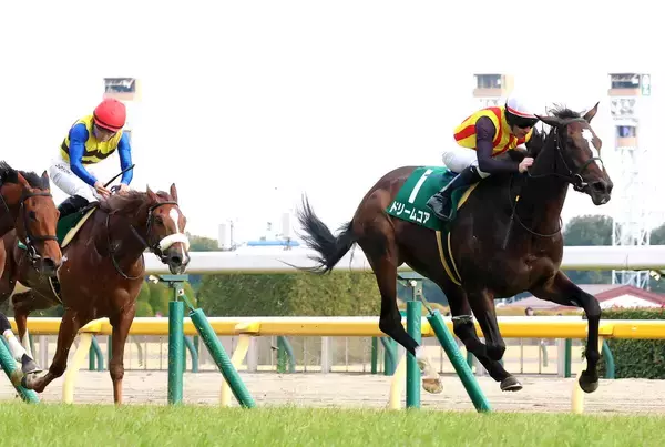 【注目馬動向】オークス２着のドリームコアが美浦・田中博厩舎へ転厩　社台グループオーナーズが発表