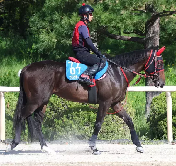【セントウルＳ】重賞連勝狙うフリッカージャブは２枠３番に決定　香港馬ファストネットワークは４枠８番