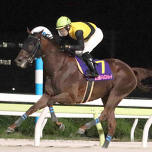 【ＪＢＣレディスクラシック・枠順確定】武豊騎手と初コンビのメモリアカフェは５枠５番　重賞連勝中のタガノミストは大外８枠１２番