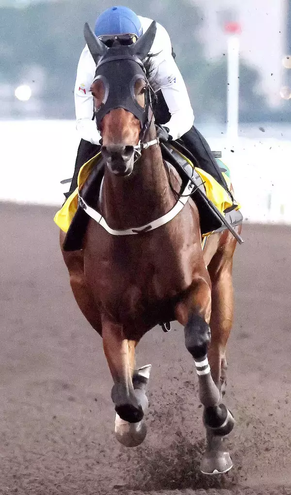 【香港スプリント・ライバル診断】カーインライジングは付け入る隙なし　ヘリオスエクスプレス軽視禁物   　