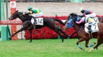 【中山５Ｒ・２歳新馬】良血ルールザウェイヴが力強く抜け出してデビュー勝ち　マーカンド騎手「まだメンタルが幼い」