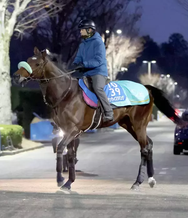 【注目馬動向】ボール大好きなサンライズジパングはサウジＣでマーフィー騎手と初コンビを結成