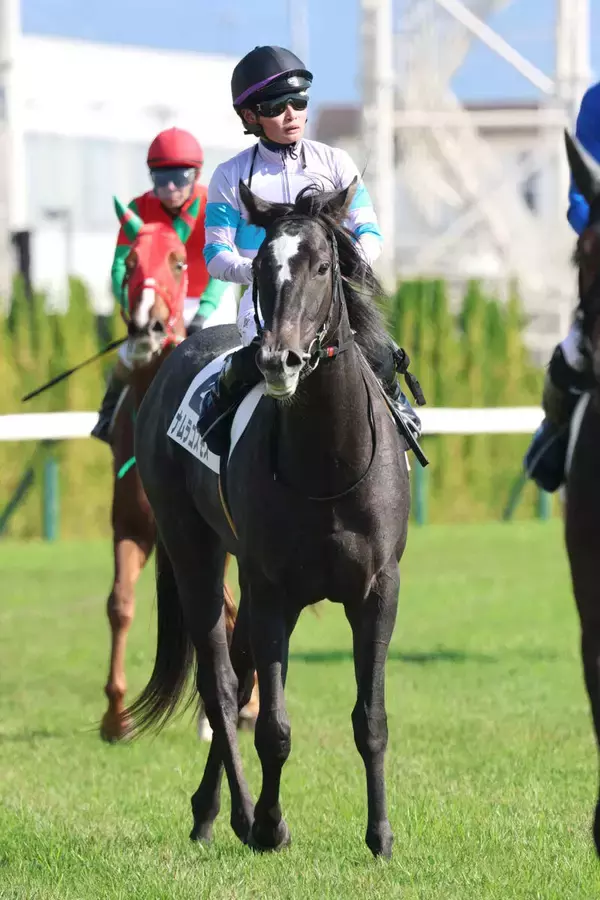 【注目馬動向】こぶし賞を制したナムラコスモスはチューリップ賞へ　若駒Ｓ３着のイベントホライゾンは水仙賞へ