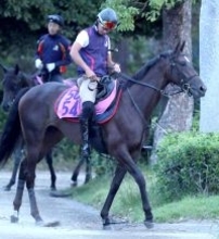 【注目馬動向】イクイノックスの全妹イクシードはフラワーＣでの復帰を視野