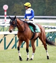 【桜花賞・１週前】ギャラボーグは最先着も杉山晴調教師は辛口…「阪神ＪＦの前と比べると物足りなさが残る」