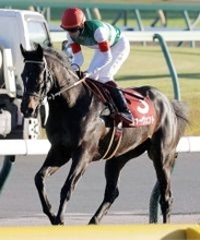 【ダービー卿ＣＴ】重賞初制覇を狙うファーヴェントは４枠８番　京都金杯勝ち馬のブエナオンダは３枠５番　枠順確定