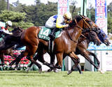 「２５年関屋記念を制したカナテープが競走馬登録を抹消　今後は坂東牧場で繁殖牝馬になる予定」の画像1