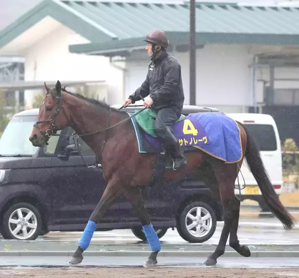 【注目馬動向】サトノレーヴはルメール騎手とのコンビでジュライＣ・英Ｇ１へ